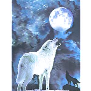 Obraz 3D Vlk vyjúci na mesiac